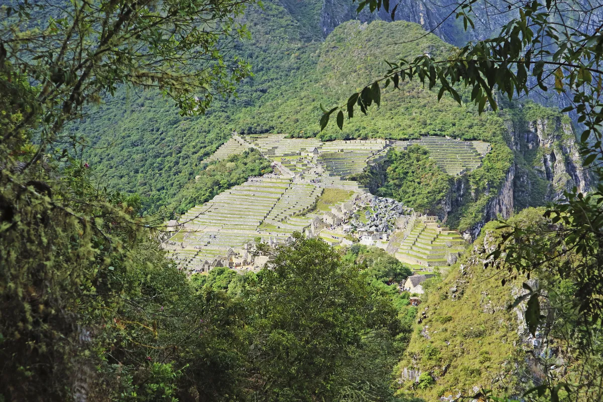 Vista de Machu Picchu entre la vegetación durante la subida a Huayna Picchu